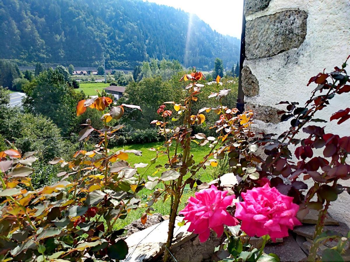 Ferienwohnung Cjasa Da Puci Ovaro Exterior foto