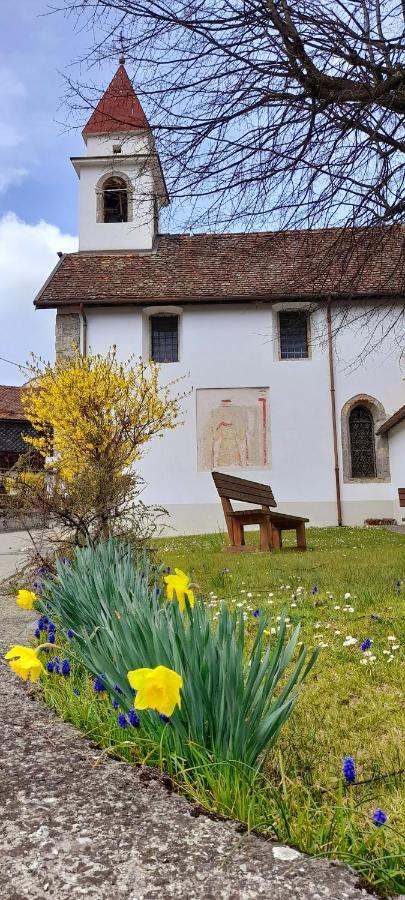 Ferienwohnung Cjasa Da Puci Ovaro Exterior foto