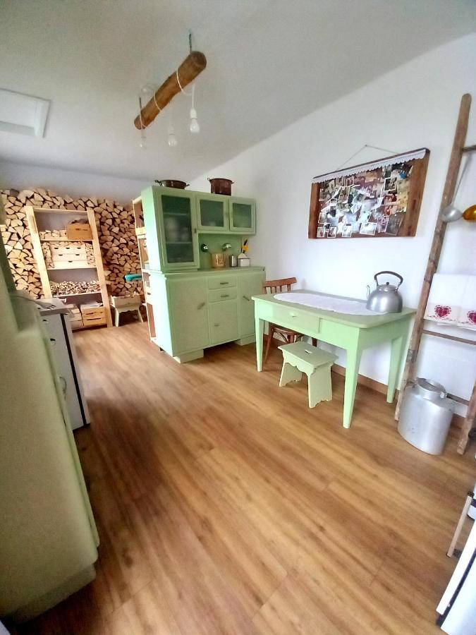 Ferienwohnung Cjasa Da Puci Ovaro Exterior foto